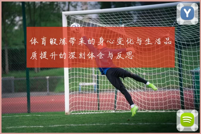 体育锻炼带来的身心变化与生活品质提升的深刻体会与反思