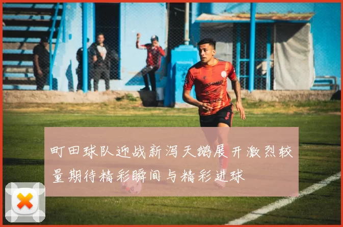 町田球队迎战新泻天鹅展开激烈较量期待精彩瞬间与精彩进球