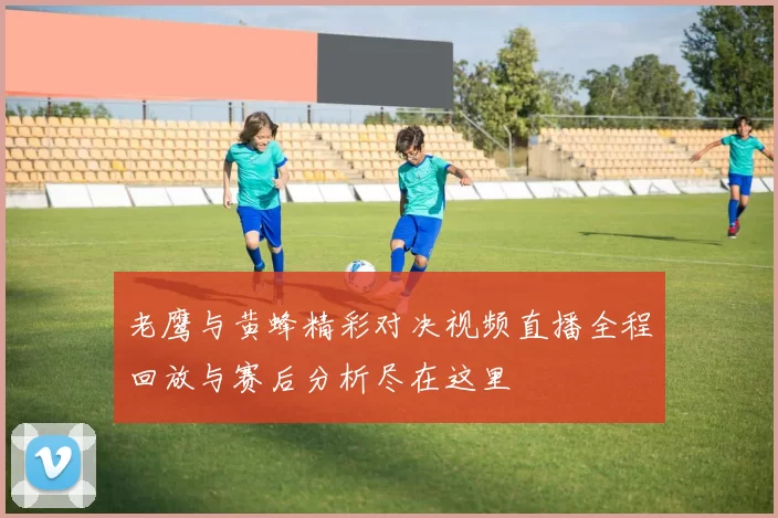 老鹰与黄蜂精彩对决视频直播全程回放与赛后分析尽在这里