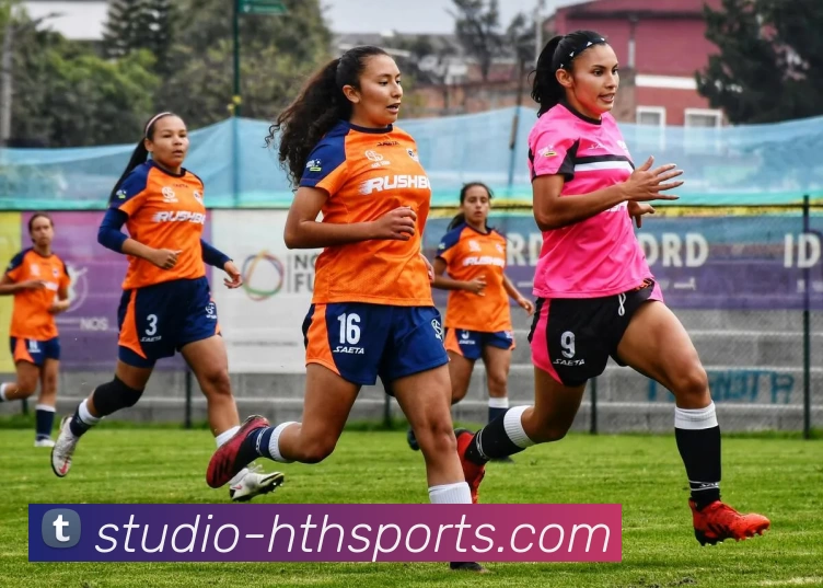 华体会平台生态图